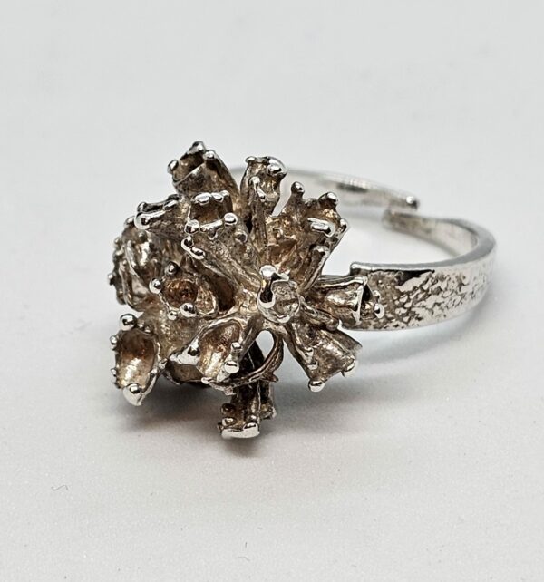 Brutalist Organic Silver Ring - Image 7