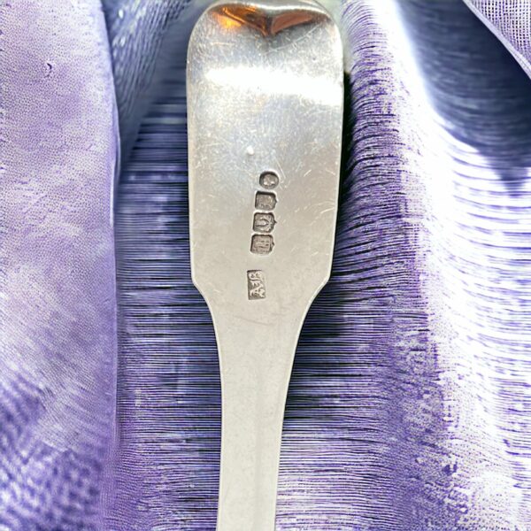 Adam burgess 1842 Edinburgh silver toddy ladle - Image 3