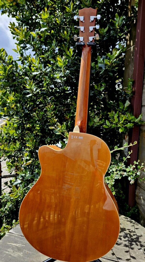 Beginners Acoustic Guitar - Image 4