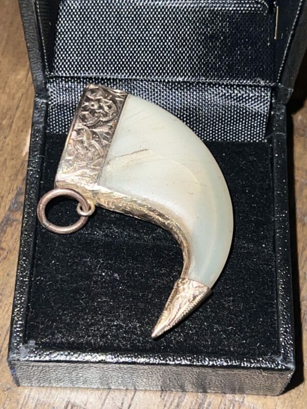 9ct gold mounted tiger claw pendant - Image 2