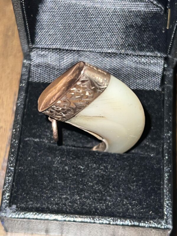 9ct gold mounted tiger claw pendant - Image 3