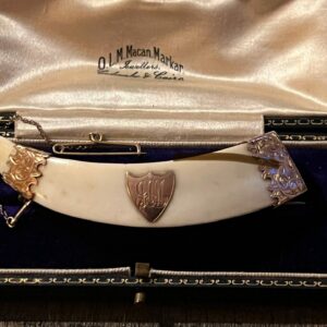 9ct Gold mounted boar tusk brooch