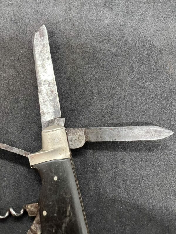 Antique Horse farriers knife - Image 2