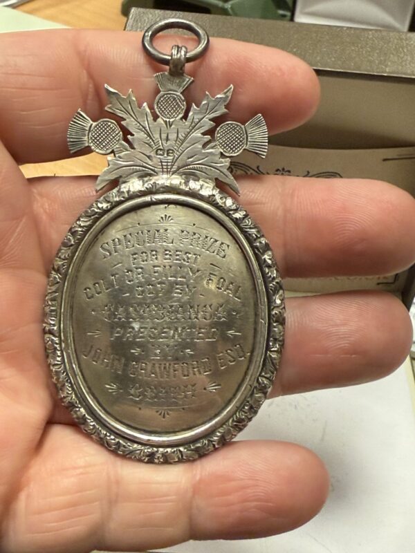 Buchlyvie & gartmore agricultural association special prize silver medal - Image 7