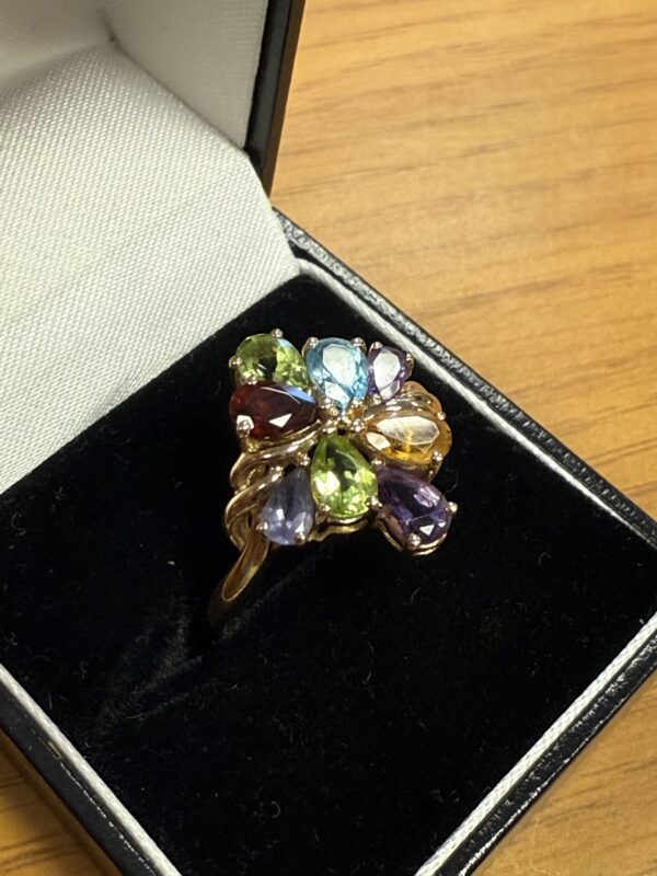 Multigem 9ct gold ladies dress ring - Image 5