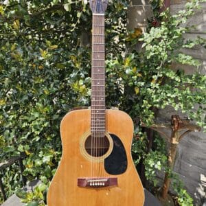 Vincent SJ-971 acoustic guitar