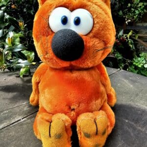 Heathcliff the Cat