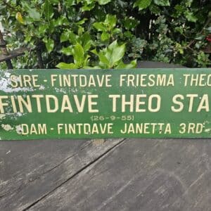 Vintage Embossed Metal Pedigree Cattle Sign – "Fintdave Theo Star"