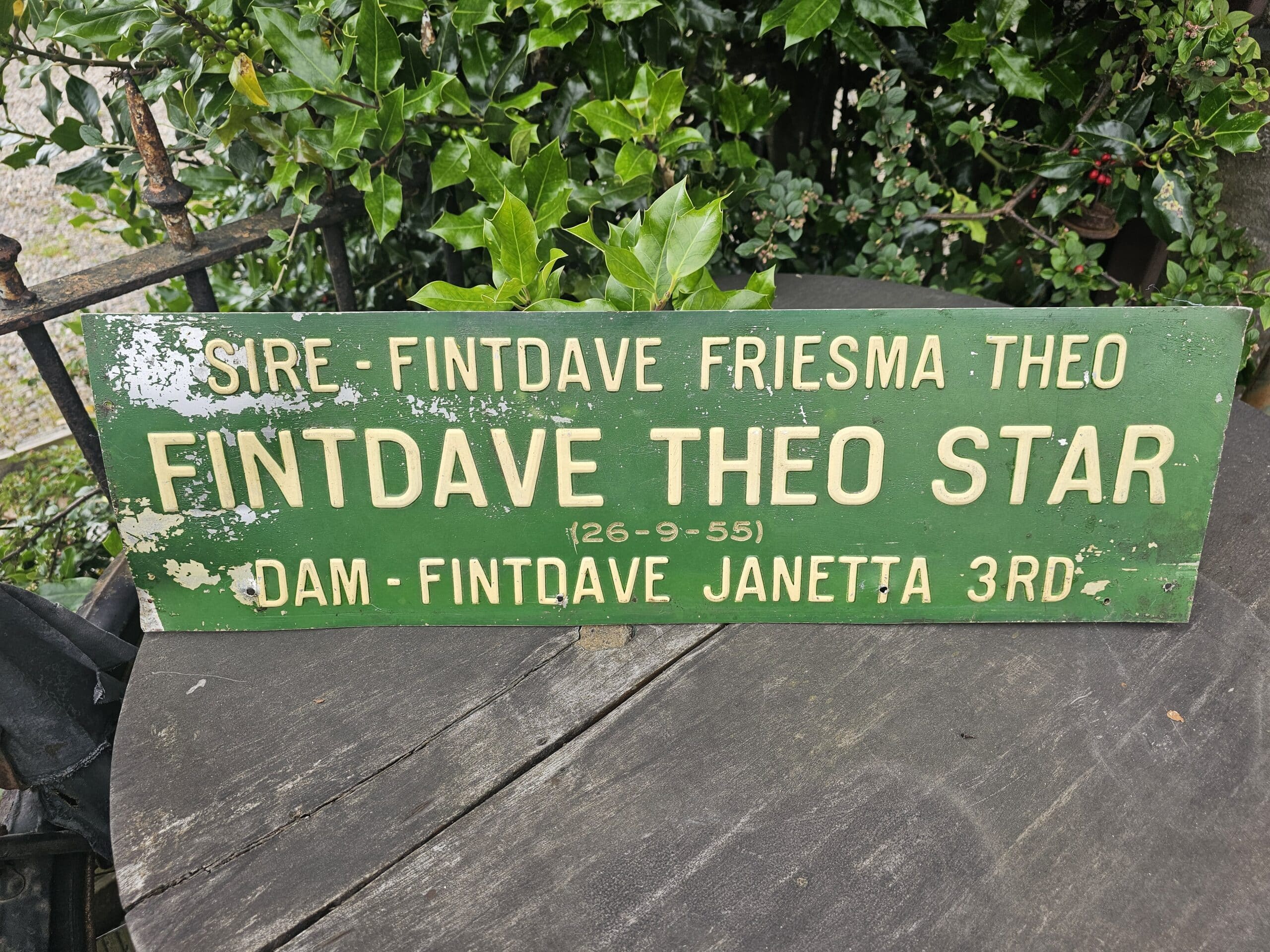Vintage Embossed Metal Pedigree Cattle Sign – “Fintdave Theo Star”